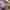 IMG-8423